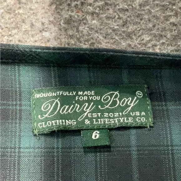 Dairy Boy Meadow dress in Tahoe size 6 NWT - Picture 13 of 16